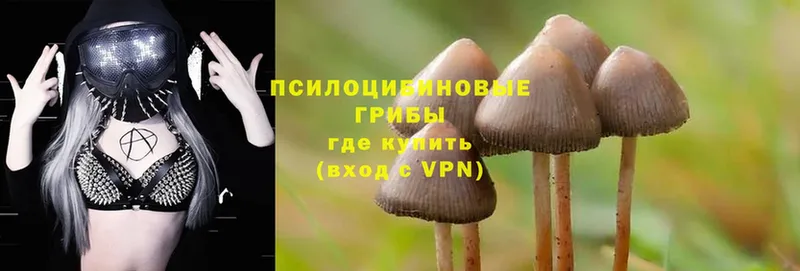 кракен рабочий сайт  продажа наркотиков  Бийск  Галлюциногенные грибы ЛСД 