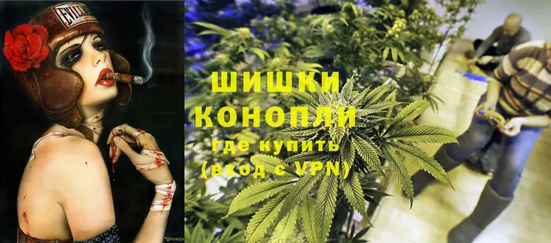 как найти наркотики  Бийск  Марихуана White Widow 